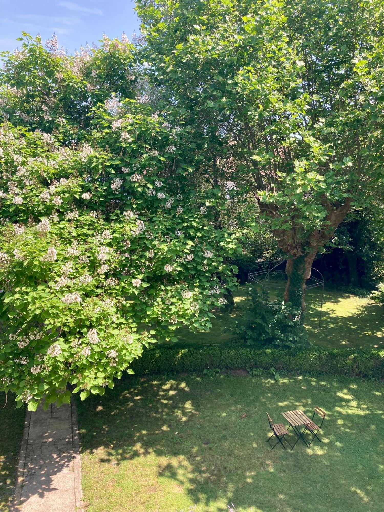 Chateau Gioux Saint-Pierre-Bellevue 外观 照片