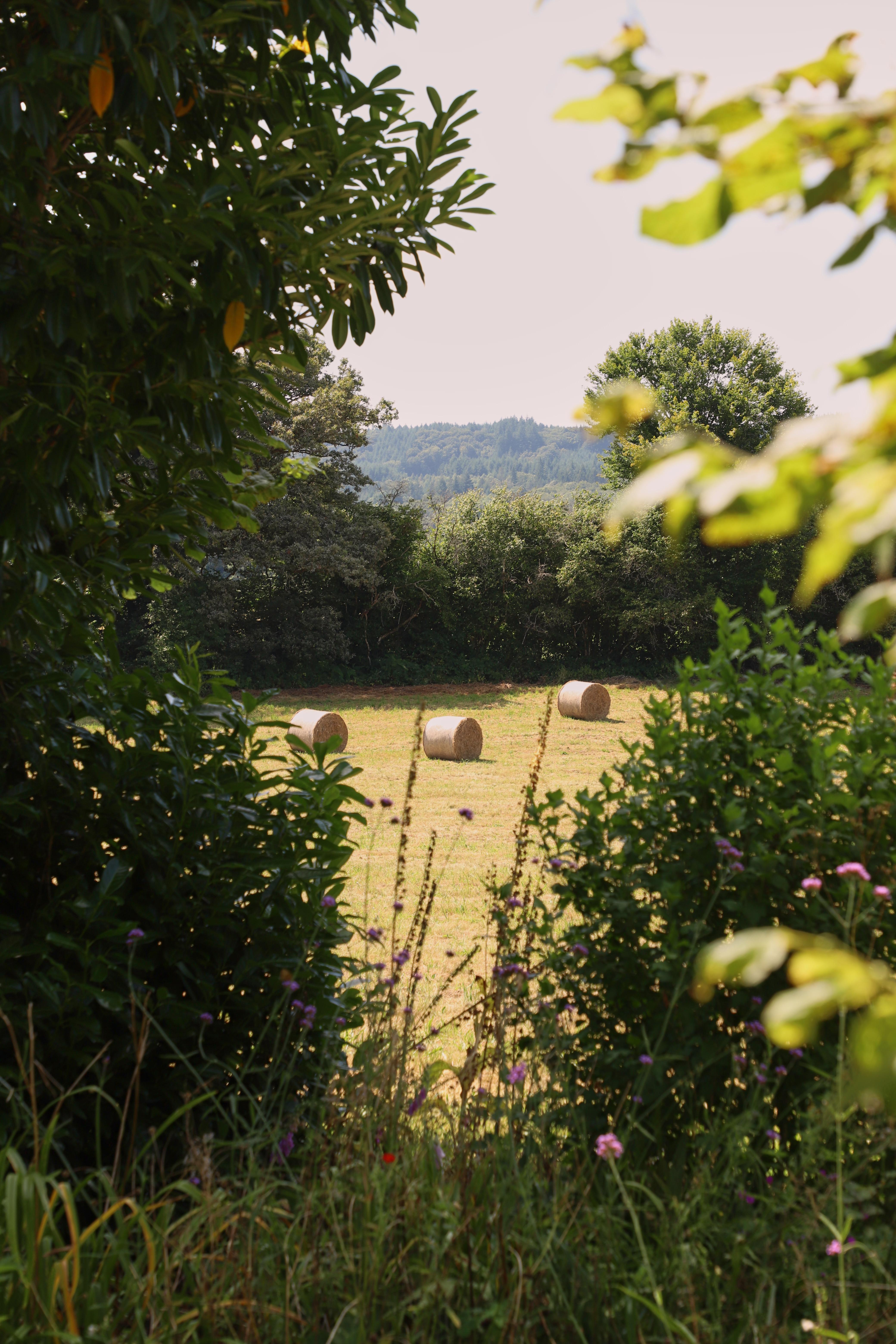 Chateau Gioux Saint-Pierre-Bellevue 外观 照片